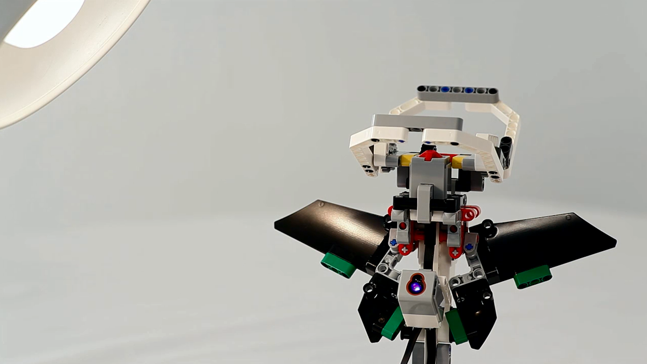 Video preview